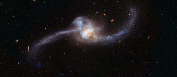 Hubble chụp được nòng nọc vũ trụ Hubble chụp được nòng nọc vũ trụ - Sputnik Việt Nam