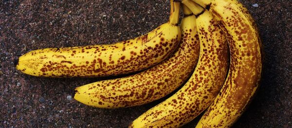 chuối - Sputnik Việt Nam