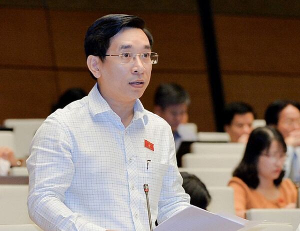 Đại biểu Nguyễn Văn Cảnh, đoàn Đại biểu Quốc hội Bình Định. - Sputnik Việt Nam