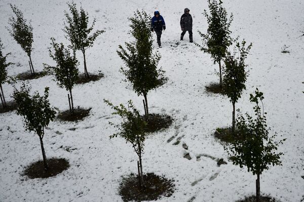 Tuyết ở khu nghỉ dưỡng  Rosa Khutor tại Krasnaya Polyana - Sputnik Việt Nam