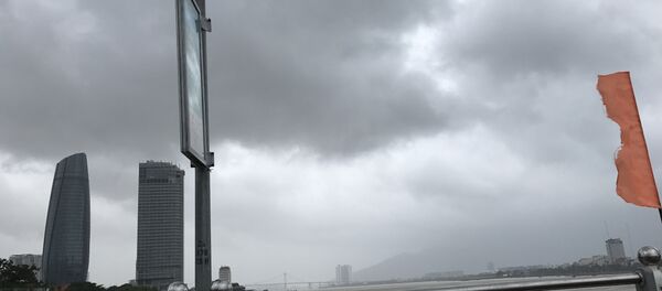 Người dân Đà Nẵng dầm mưa dọn dẹp thành phố trước thềm APEC Người dân Đà Nẵng dầm mưa dọn dẹp thành phố trước thềm APEC - Sputnik Việt Nam