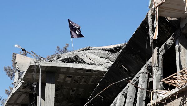 A flag of Islamic State militants is pictured above a destroyed house near the Clock Square in Raqqa, Syria October 18, 2017 - Sputnik Việt Nam