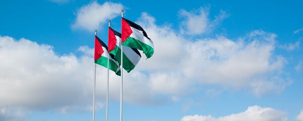 Quốc kỳ Palestine - Sputnik Việt Nam