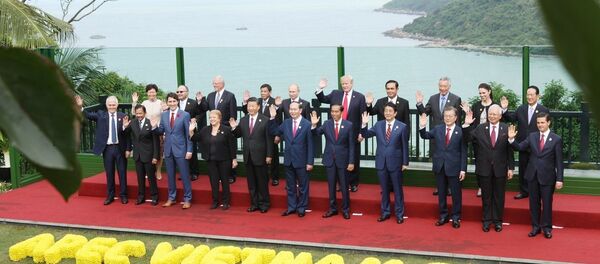 Chủ tịch nước Trần Đại Quang và các Trưởng đoàn chụp ảnh chung - Sputnik Việt Nam