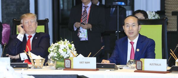 Chủ tịch nước Trần Đại Quang chủ trì buổi ăn trưa làm việc của các Nhà lãnh đạo Kinh tế APEC - Sputnik Việt Nam