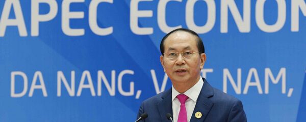 Chủ tịch nước Trần Đại Quang họp báo kết thúc APEC - Sputnik Việt Nam