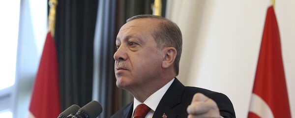 Tổng thống Thổ Nhĩ Kỳ Tayyip Erdogan - Sputnik Việt Nam