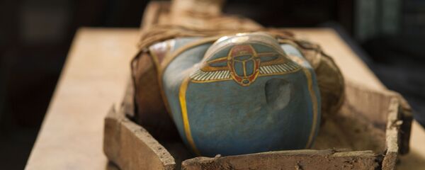 Các nhà khảo cổ  từ Trung tâm Nghiên cứu Ai Cập (Viện Hàn lâm Khoa học LB Nga) và đồng nghiệp địa phương ở Ai Cập đã tìm thấy trong hầm tu viện Deir el-Bana ở phía tây-nam thủ đô Cairo một chiếc quan tài với xác ướp cổ đại.  - Sputnik Việt Nam