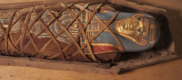 Xác ướp với mặt nạ bằng giấy sậy vàng trong quan tài gỗ, phát hiện trong quá trình nghiên cứu khảo cổ học - Sputnik Việt Nam