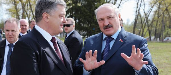 Tổng thống Ukraine và Belarus - Sputnik Việt Nam