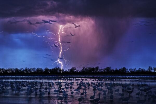 Tác phẩm  “Cây cột trên đồi cát” của nhiếp ảnh gia Randy Olson, người chiến thắng tại Siena International Photo Awards năm 2017 - Sputnik Việt Nam