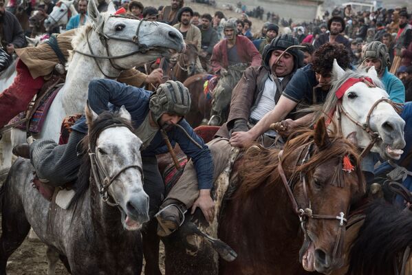 Buzkashi ở Afghanistan. - Sputnik Việt Nam