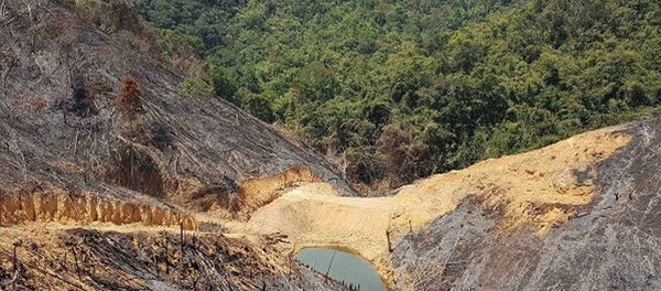 Rừng tại xã Quảng Sơn bị tàn phá trong năm 2017 - Sputnik Việt Nam