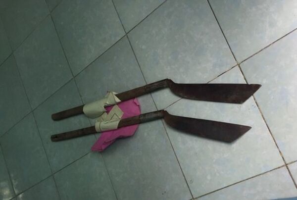 Những hung khí gây án được cơ quan công an thu giữ - Sputnik Việt Nam