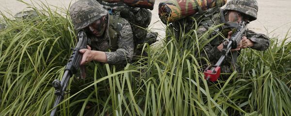 Quân sĩ Hàn Quốc - Sputnik Việt Nam