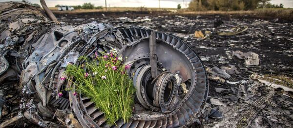 MH17 MH17 - Sputnik Việt Nam