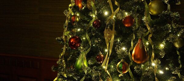 Cây thông Giáng sinh Cây thông Giáng sinh - Sputnik Việt Nam