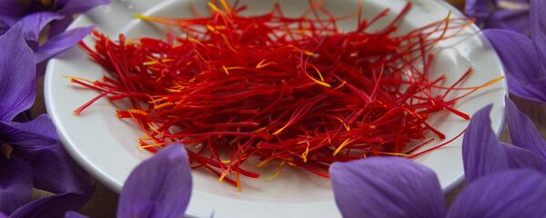 nhụy hoa nghệ tây (saffron) - Sputnik Việt Nam