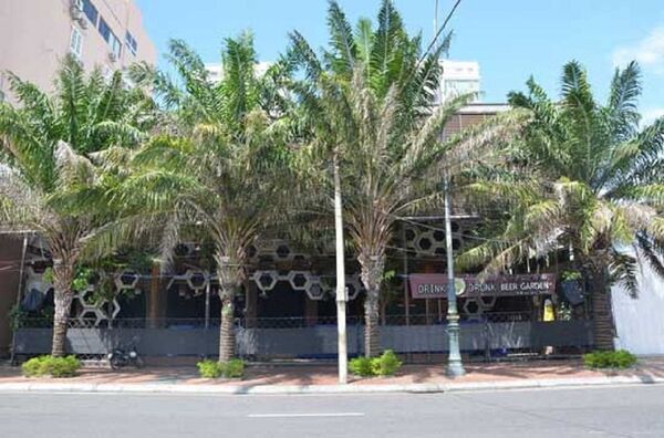 Năm 2011, Nhà, đất 20 Bạch Đằng thuộc về ông Vũ nhôm - Sputnik Việt Nam