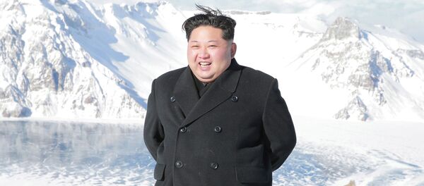 Kim Jong-un - Sputnik Việt Nam