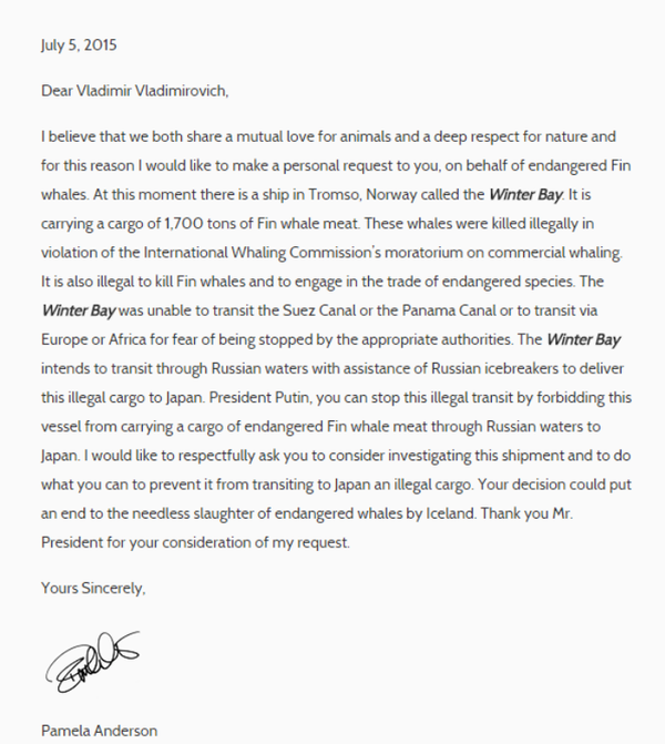 Pamela Anderson viết thư cho Tổng thống Nga Putin Pamela Anderson viết thư cho Tổng thống Nga Putin - Sputnik Việt Nam