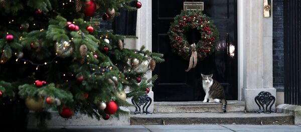 10 Downing Street, London - Sputnik Việt Nam