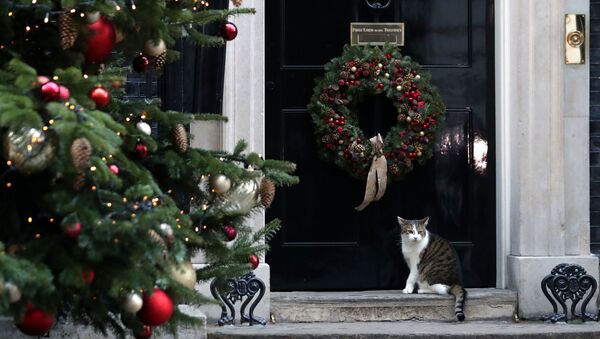 10 Downing Street, London - Sputnik Việt Nam