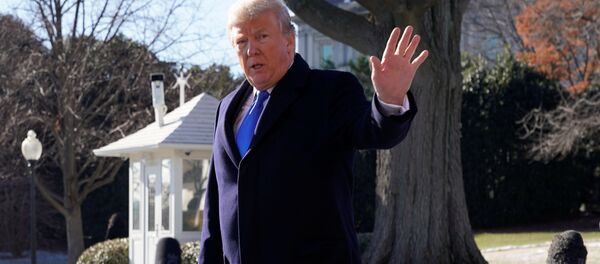 Tổng thống Donald Trump - Sputnik Việt Nam