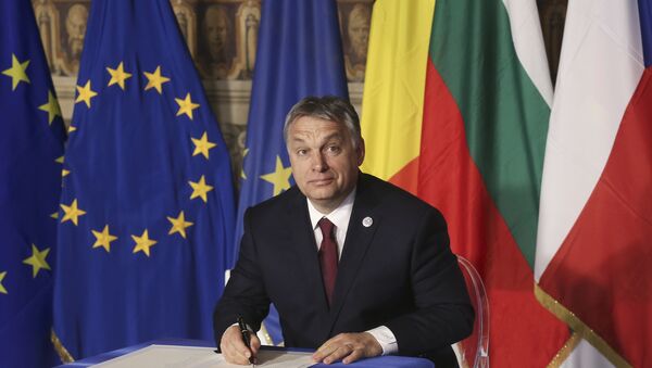 Thủ tướng Hungary Viktor Orban - Sputnik Việt Nam