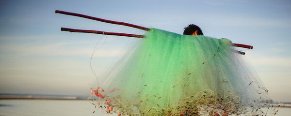 Ngư dân ven biển làng Kê Gà ở Việt Nam - Sputnik Việt Nam