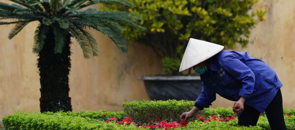 Người làm vườn trên thành Hà Nội Người làm vườn trên thành Hà Nội - Sputnik Việt Nam