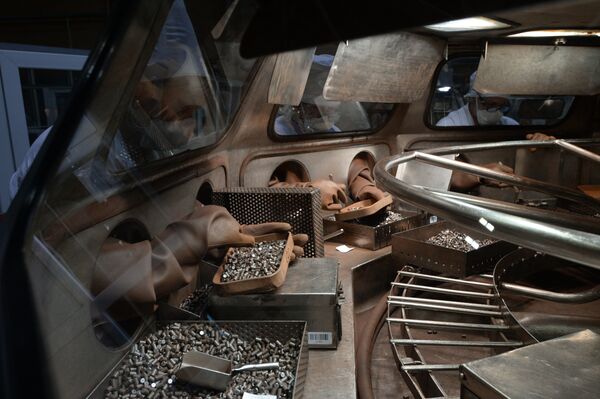 Kiểm tra kỹ thuật của bảng nhiên liệu uranium dioxide tại cơ sở thuộc Công ty Cổ phần Nhà máy tinh chất hóa học Novosibirsk. - Sputnik Việt Nam