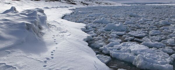  Bắc Cực - Sputnik Việt Nam