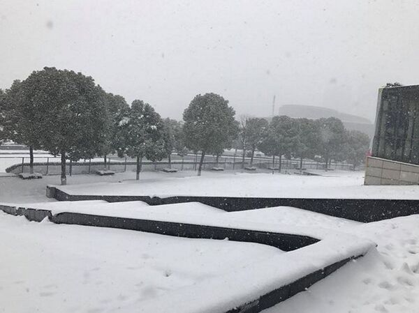 Sau một ngày ngừng rơi, tuyết lại xuất hiện ở thành phố Thường Châu (Trung Quốc) vào sáng 27/1. Tuyết nhanh chóng phủ một lớp dày màu trắng. - Sputnik Việt Nam