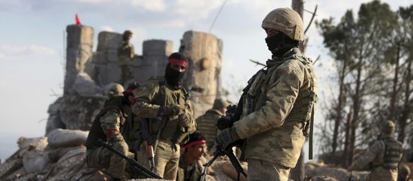 Pro-Turkey Syrian fighters and Turkish troops secure the Bursayah hill, which separates the Kurdish-held enclave of Afrin from the Turkey-controlled town of Azaz, Syria, Sunday, Jan. 28, 2018 - Sputnik Việt Nam