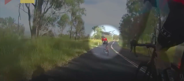 Kangaroo tung người đá cô gái đi xe đạp và bỏ chạy (Video) - Sputnik Việt Nam