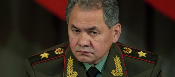 Bộ trưởng Quốc phòng Nga, Tướng Sergei Shoigu Bộ trưởng Quốc phòng Nga, Tướng Sergei Shoigu - Sputnik Việt Nam