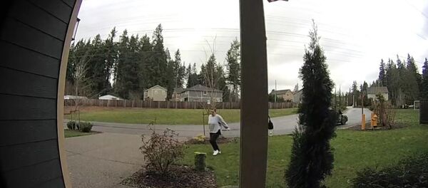 Kẻ trộm trả giá vì sự vội vã - Sputnik Việt Nam