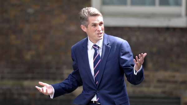 Gavin Williamson - Sputnik Việt Nam