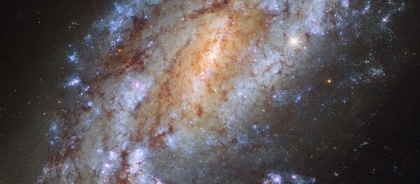 một thiên hà NGC 1559 cô đơn nhất trong vũ trụ một thiên hà NGC 1559 cô đơn nhất trong vũ trụ - Sputnik Việt Nam