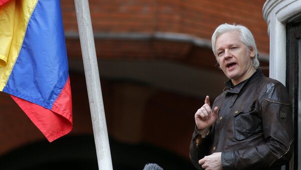 Julian Assange - Sputnik Việt Nam