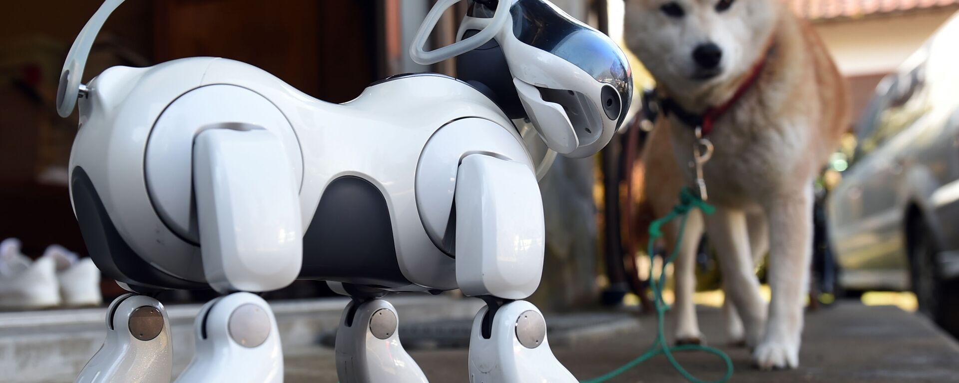 Thế giới robot Nhật Bản  - Sputnik Việt Nam, 1920, 07.04.2025