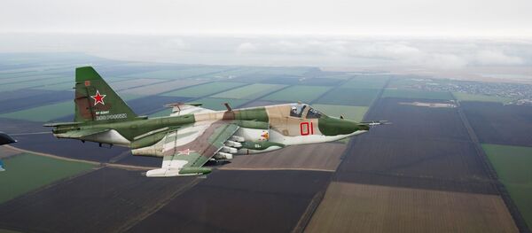 Su-25 - Sputnik Việt Nam