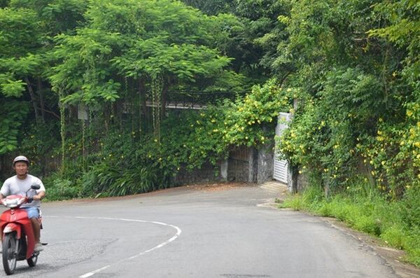 Lô biệt thự L09 trên bán đảo Sơn Trà. - Sputnik Việt Nam