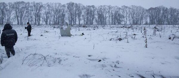 hiện trường tai nạn máy bay An-148 - Sputnik Việt Nam