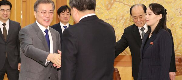 Сuộc đàm phán giữa phái đoàn CHDCND Triều Tiên và Tổng thống Hàn Quốc - Sputnik Việt Nam
