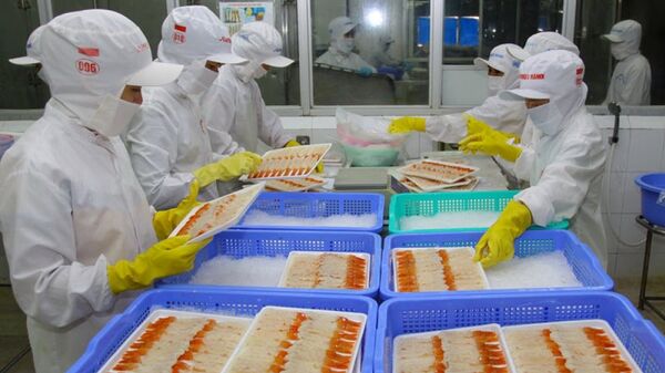 Nhiều mặt hàng, trong đó có tôm, xuất khẩu đạt giá trị cao trong năm qua - Sputnik Việt Nam