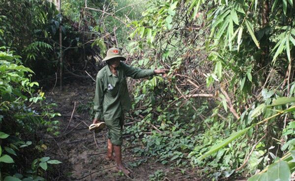 Ông Điểu K’Giang chỉ bụi lồ ô, nơi con tê giác thường về kiếm ăn. - Sputnik Việt Nam