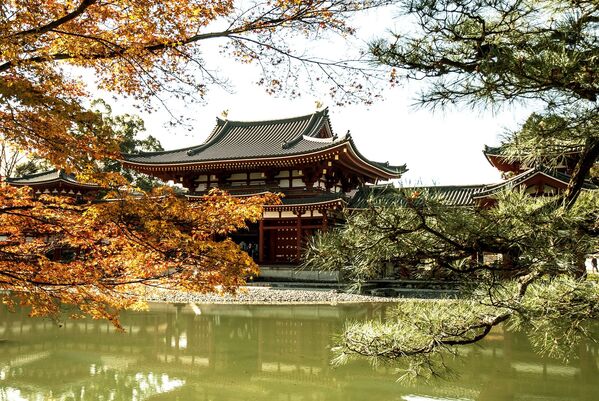 Chùa Phật ở thành phố Kyoto của Nhật Bản - Sputnik Việt Nam