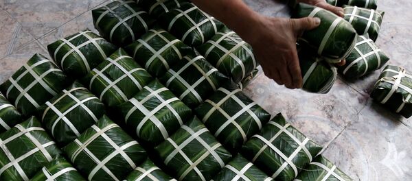 Người đàn ông gói bánh chưng trước Tết Nguyên đán ở một ngôi làng gần Hà Nội, Việt Nam - Sputnik Việt Nam